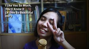 Things I Love and Hate about 'A Love so Beautiful (2017)'