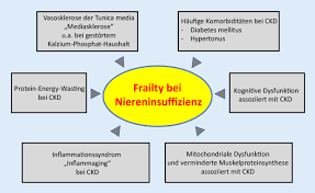 Frailty Bei Chronischer Nierenerkrankung Springerlink