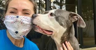 Adopting Tic Tac dog from Best Friends Animal Sanctuary