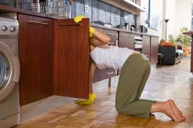 How To Clean Mold Off Interior Wood Under My Kitchen Sink Hunker Clean Kitchen Cabinets Cabinet Molding Staining Furniture