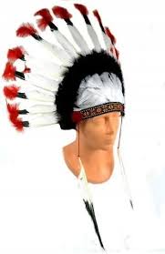 Image result for pióropusz indiański