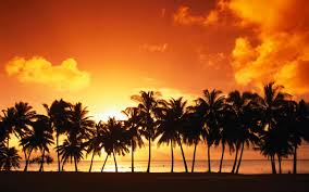 Check spelling or type a new query. 30 Hd Tropical Beach Backgrounds