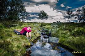 Last week we had a very nice trip to...