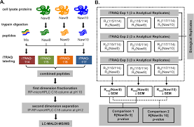 Sherlock leak detector, type i. Comparative Proteome Analysis In Schizosaccharomyces Pombe Identifies Metabolic Targets To Improve Protein Production And Secretion Molecular Cellular Proteomics