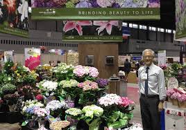 Half moon bay for flower lovers, nurseries, shops and gardens. Syngenta Flowers Acquires Hydrangea Genetics From Bay City Flower Co Syngenta Flowers