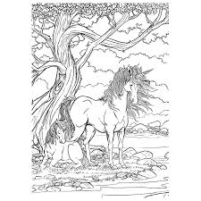 Een veulen is een jong paard dat niet ouder is dan één jaar. Leuk Voor Kids Een Eenhoorn Moeder En Haar Veulen