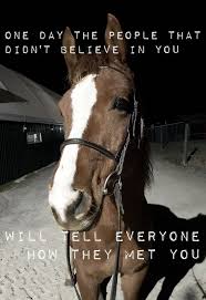 My heart & soul is truly touched beyond description when my beloved apollo. Hoovesandlove Co Uk Horse Riding Quotes Inspirational Horse Quotes Horse Quotes