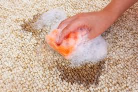 How long does it take for mold to grow in wet carpet. Wet Carpets What To Do With Them After Water Damage Water Damage Coto De Caza