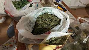 Tic.a.ş.'ye aittir.hiçbir surette haber, fotoğraf ve videonun tamamı veya bir kısmı yazılı sözleşme yapılmadan veya abone olmadan kullanılamaz. Usak Ta Evinde Uyusturucu Urettigi Iddia Edilen Supheli Yakalandi Son Dakika Haberleri