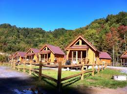 Pin By Clara Sears On 3home Sweet Home W V 3 Camping Resort Camping In Virginia California Beach Camping
