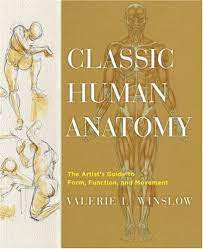 This book is made for both beginners and experts who want to improve their technique in the figure room. Best Anatomy Books For Artists Some Of My Favourites Parka Blogs