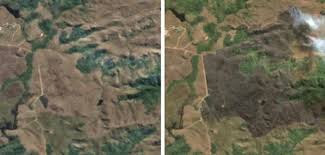 Meteorito incendio en santa catarina hoy. Imagens Mostram O Antes E Depois Do Incendio Que Queimou Vegetacao Nos Campos Do Quiriri Norte De Sc Santa Catarina G1