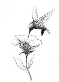 The tattoo can be a great design to work with. 38 Super Ideas For Bird Design Tattoo Hummingbird Drawing Hummingbird Drawing Bird Design Tattoo Hummingbird Tattoo