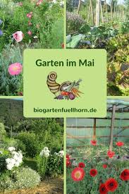 Garten Im Mai Biogarten Fullhorn Biogarten Garten Mais Pflanzen