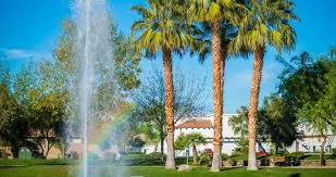 We did not find results for: 11 Best Things To Do In La Quinta California