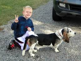 Judith Welsh Obituary