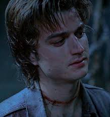 Little soda pop — Hate or something (Reader x Steve Harrington)