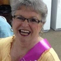 Sherry Lynn Vass Obituary (2024)