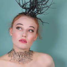 Fleur de Lis Gallery Faribault