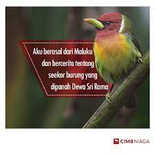 Indonesia, disebut juga dengan negara kesatuan republik indonesia (nkri, pengucapan bahasa indonesia: Cimb Niaga Ø¹Ù„Ù‰ ØªÙˆÙŠØªØ± Lagu Apakah Aku Cimbniagaforward