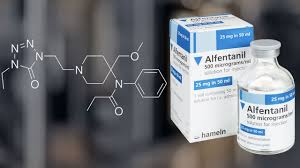 We did not find results for: Alpha Level 4 Alpha Anesthesia