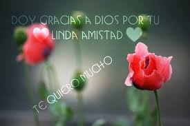 Doy Gracias A Dios Por Tu Linda Amistad Te Quiero Mucho Positive Quotes Flowers A Blessing