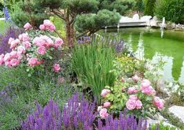 Toskana Garten Mit Schwimmteich In Stockdorf Peter Berghald Gartendesign In 2020 Garten Garten Design Kleiner Garten