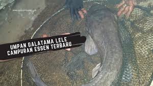 Umpan Galatama Lele Campuran Essen Terbaru Essen Makanan Ikan Hewan