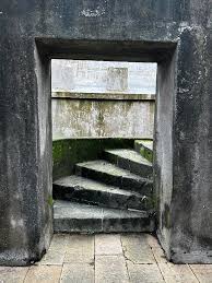Sewri Fort Restoration | Preserving ...