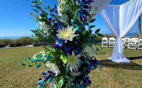 Order now & send flowers today Suellen S Floral Company Cape Coral Fl Alignable
