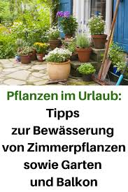 Pflanzen Im Urlaub Tipps Zur Bewasserung Von Zimmerpflanzen Sowie Garten Und Balkon Balkon Tipps Bewasserung Garten Zimmerpflanzen Pflanzen Plants