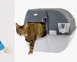 Pet supplies at Target