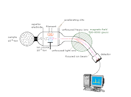 A = mass the resulting data from the detector is called a mass spectrum (plural mass spectra) which gives. Mass Spectrometry