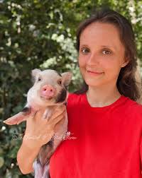 What advice for raising pot-bellied piglets?