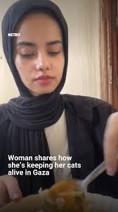 A 20-year-old woman living in Gaza is documenting her life amid the  starvation including how she's managing to keep her cats alive, feeding  them baby food with cut up pieces of bread