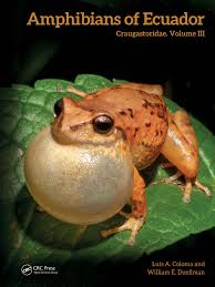 Image result for Pristimantis nankints