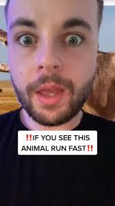 Velocidad De Un Cocodrilo