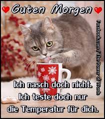 Hier eine wohlfühl und eine superlaune sms. Guten Morgen Bilder Fur Whatsapp Kostenlos 387 Gbpicsbilder Com