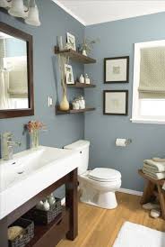 Mountain Stream By Sherwin Williams Beautiful Earthy Blue Paint Color For Bathrooms Especi Best Bathroom Paint Colors Small Bathroom Remodel Amazing Bathrooms