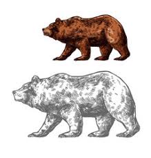 2 1) the grizzly bear tattoo. Grizzly Bear Tattoo Vector Images Over 1 600