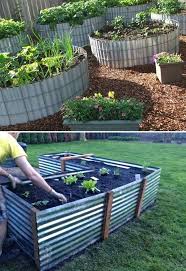 Raised Garden Bed Ideas Raised Garden Beds Plants Raised Garden