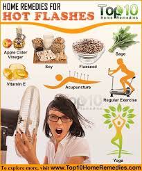 Home Remedies For Hot Flashes In Women | Top 10 Home Remedies