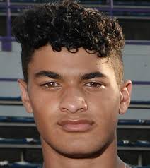 Erie County Male Athlete of the Week: Ryan Whitman, Harbor Creek