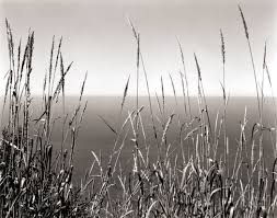 City Pulse Fall Edition - Exposing Adult Narratives