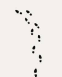 Footprints Clip Art At Clker Com Vector Clip Art Online Royalty Clip Art Footprint Free Clip Art