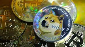The popularity of cryptocurrencies has been growing rapidly in india since last year as more investors try their luck in the lucrative virtual coin trading space. 2800 Returns Ytd What S Happening With Dogecoin