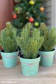 Painting terracotta pots is a fun way to add color to your home or garden. Chalk Paint On Plastic Pots An Amazing Makeover Garden Sanity By Pet Scribbles