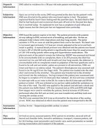 67 High Quality Example Patient Chart Documentation