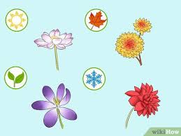 1000+ showrooms, 1200+ suppliers, the largest artificial flowers wholesale market in china. How To Buy Flowers Wholesale 11 Steps With Pictures Wikihow