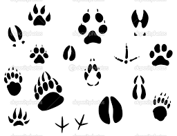 Animal Footprints Animal Footprints Ecology Design Prints